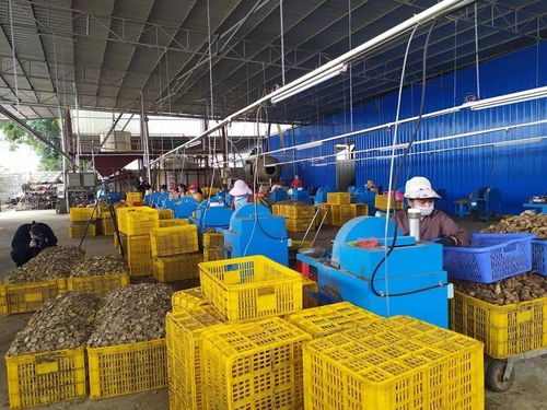 節(jié)氣不等人，春日勝黃金 把握旅游業(yè)務(wù)的季節(jié)脈搏