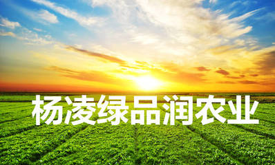 鹽堿地治理與土壤修復(fù)的先行者 楊凌綠品潤(rùn)的科技實(shí)踐與使命